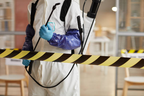 Professional Hoarding Cleanup technician working in Edgewood, FL